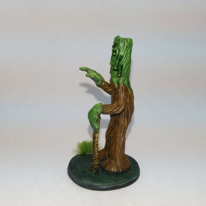 Old Wise Wood Creature image