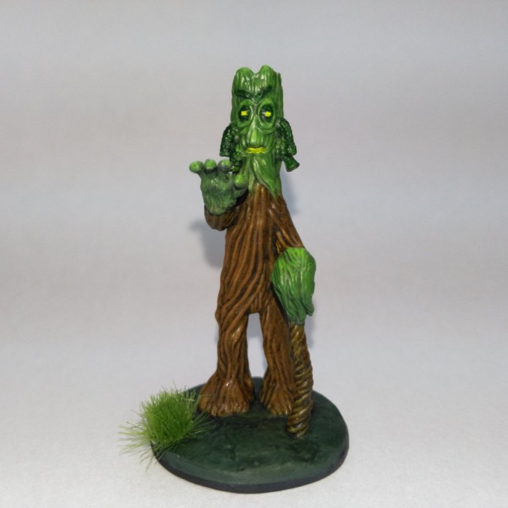 Old Wise Wood Creature image