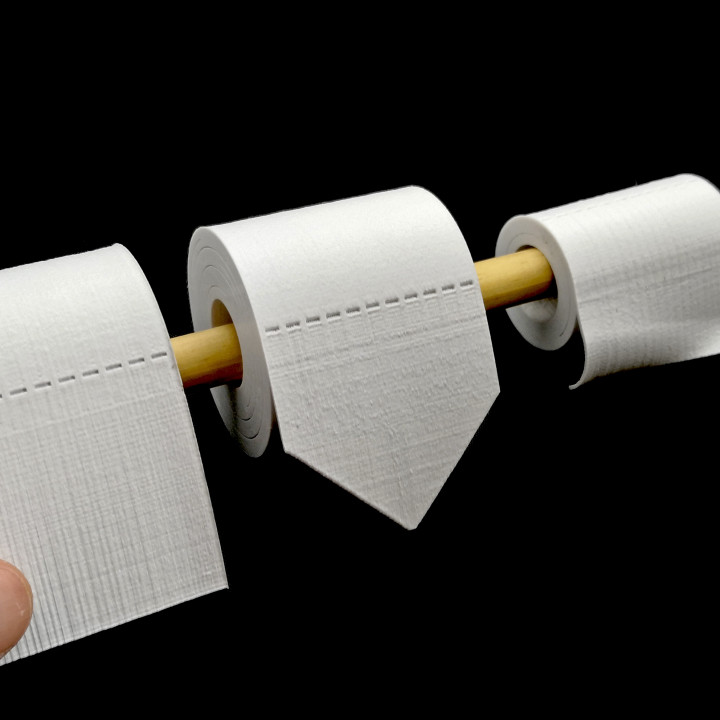 Toilet Paper Roll image