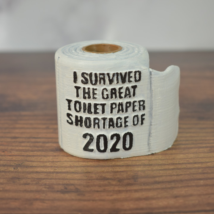 I survived the toilet paper shortage of 2020 image