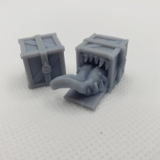Picture of print of Mimics Pack