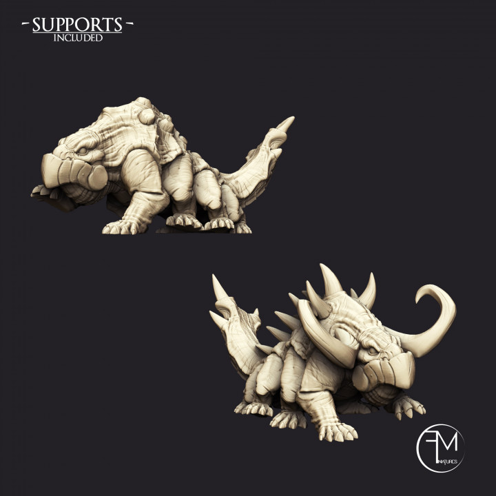 Giant Salamanders - 2 units  (AMAZONS! Kickstarter) image
