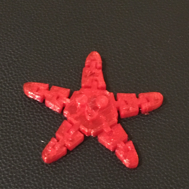 Articulated Star Fish image