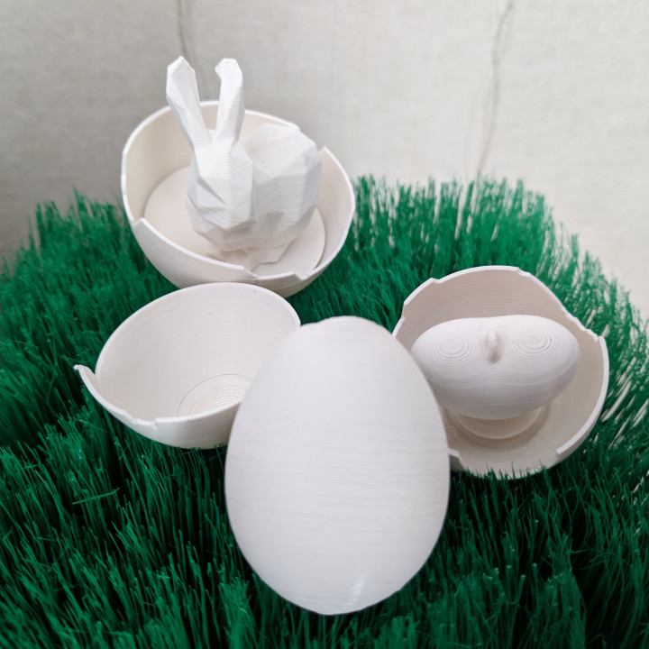 Surprising Egg (Prints Inside) image