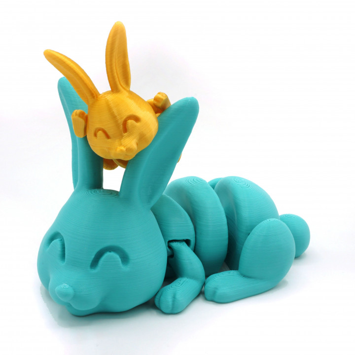 Articulated Bunny image