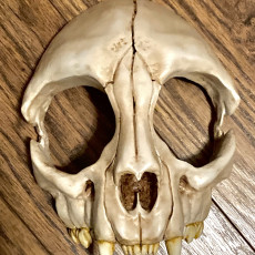 Picture of print of Cat Skull Mask