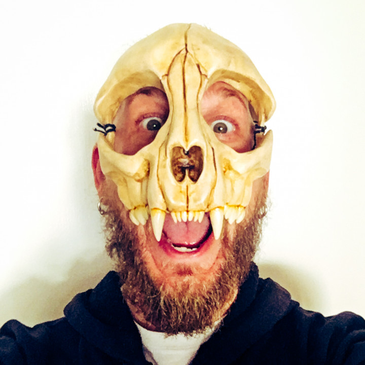Cat Skull Mask image