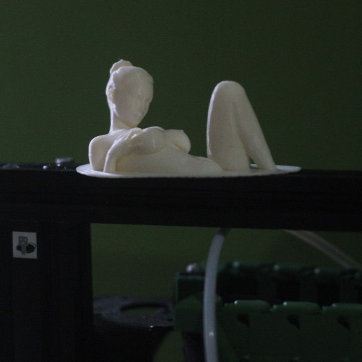 girl sculpture- 3D printer mount image
