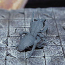 Picture of print of Formicid - Tabletop Miniature