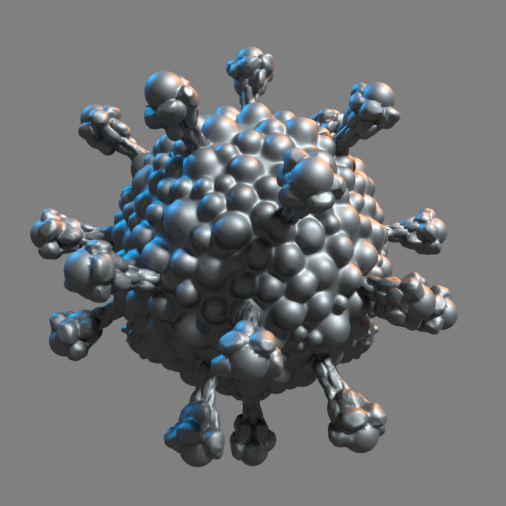 Coronaviholder, the coronavirus beholder image