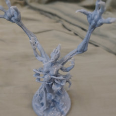 Picture of print of Flayed Aberration