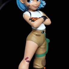 Picture of print of Bulma