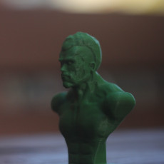 Picture of print of Terminator-t800 bust