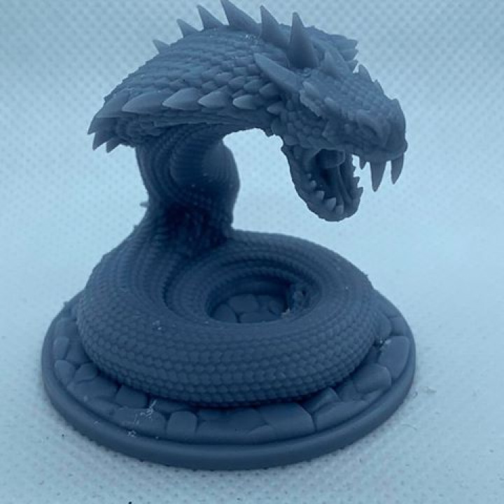 With Base: Giant Cobra
