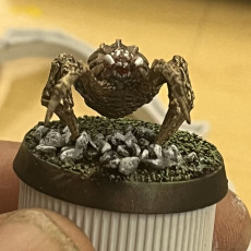 Picture of print of With Base: Giant Spider