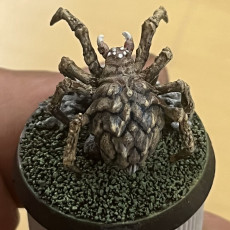Picture of print of With Base: Giant Spider