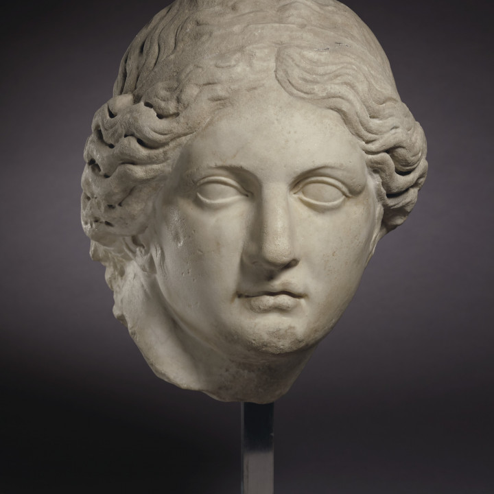 Marble Head of a Apollo image