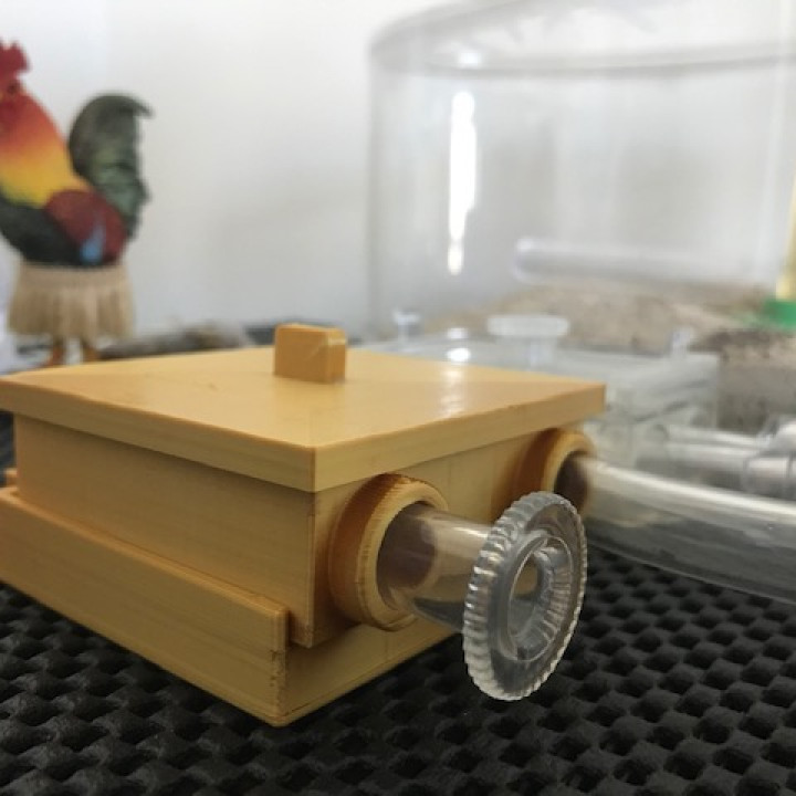 3D Printable Formicarium by PrintFriday 3