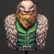 Picture of print of Adventurer Dwarf bust