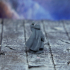 Gnome warlock, Grimbrann. print image