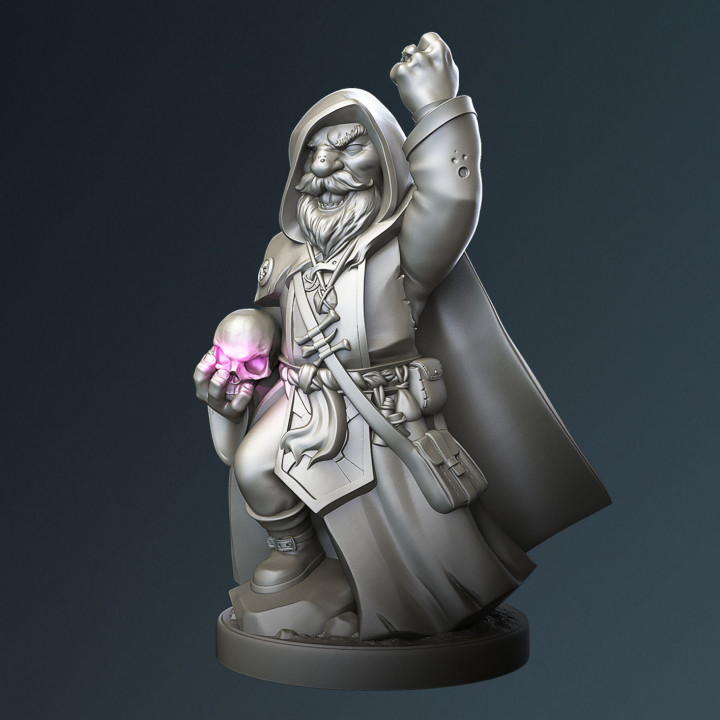 Gnome warlock, Grimbrann. image