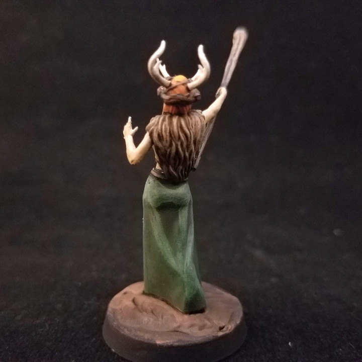 Female Druid image