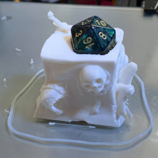 Picture of print of Gelatinous Cube Dice Head