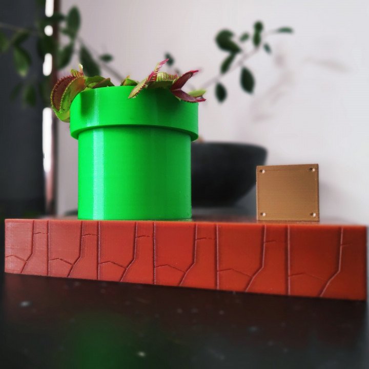 Venus Fly Trap Planter (self watering)