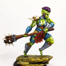 Picture of print of Vargash the orc Barbarian