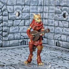 Picture of print of Dragonborn bard