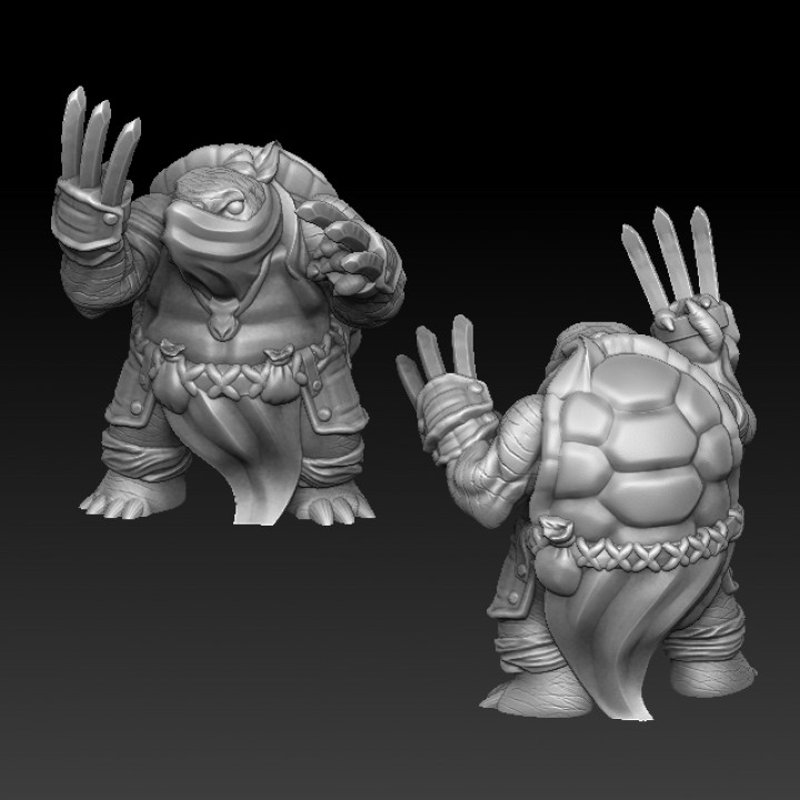 Turtle warror with battle claws image