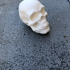 Skull print image