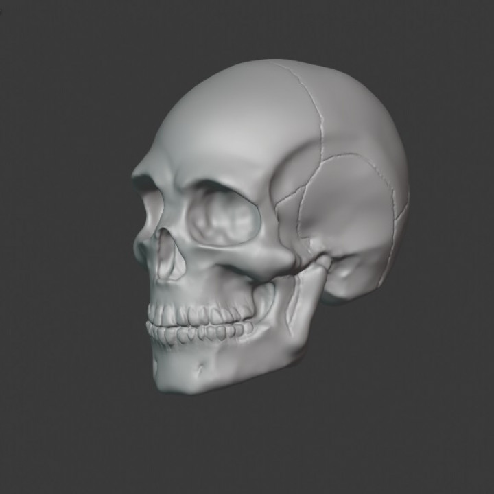 Skull image