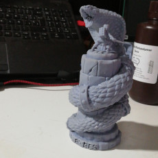 Picture of print of Snake Pillar