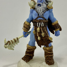 Picture of print of Nine Worlds: Frost Jotnar