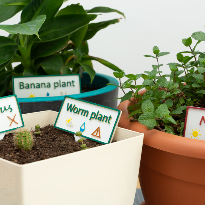 Multicolor plant labels image