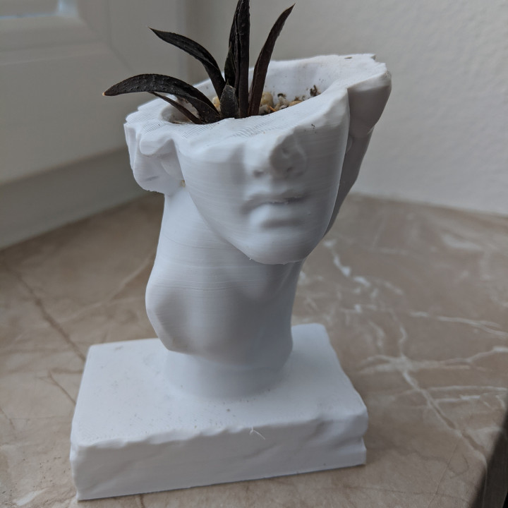 Helios Statue Succulent Pot image