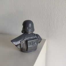 Picture of print of Death Trooper Bust