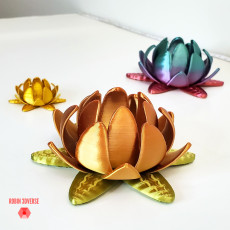 Picture of print of Lotus Flower