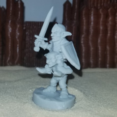 Picture of print of Goblin Knight - Sword N Board