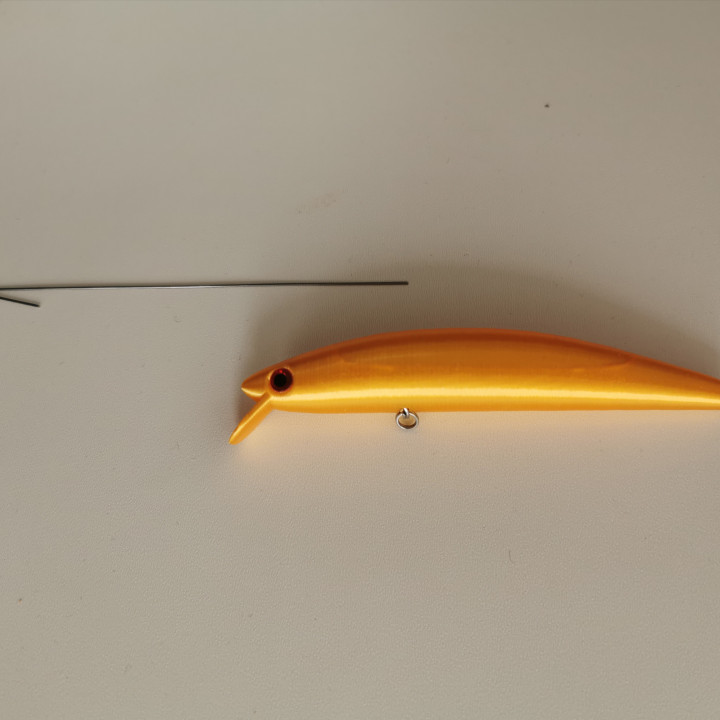 3D Printable Wobbler 2 Fishing Lure 100mm (3 different lips) by