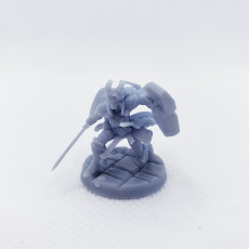 Picture of print of Ariza The Paladin (Pre-Supported)