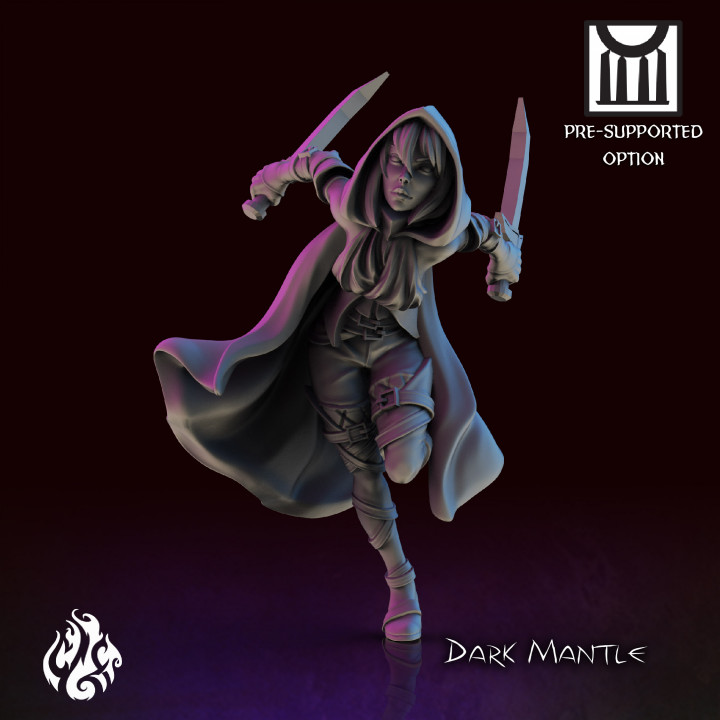 Dark Mantle, Assassin image