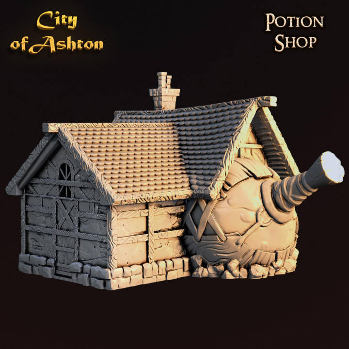 Potion Shop image