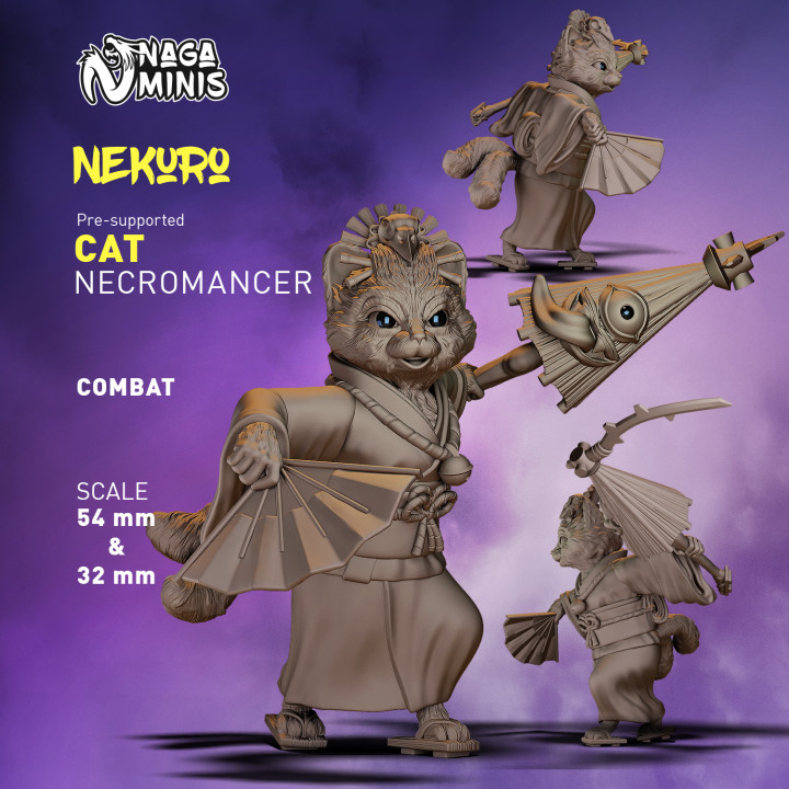(Pre-supported) Cat Folk Necromancer (Nekomancer) image