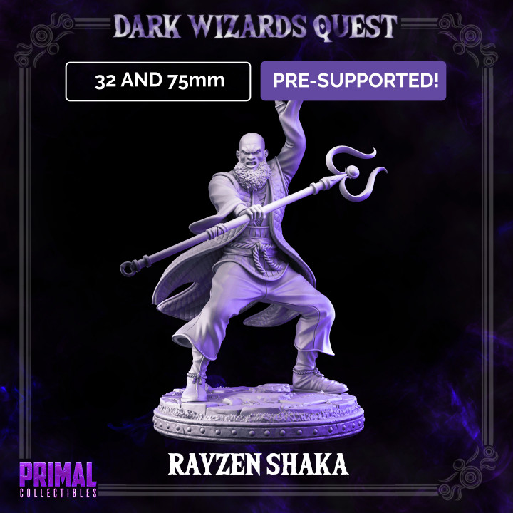 Storm Master - Rayzen Shaka - DARK WIZARDS - MASTERS OF DUNGEONS QUEST image