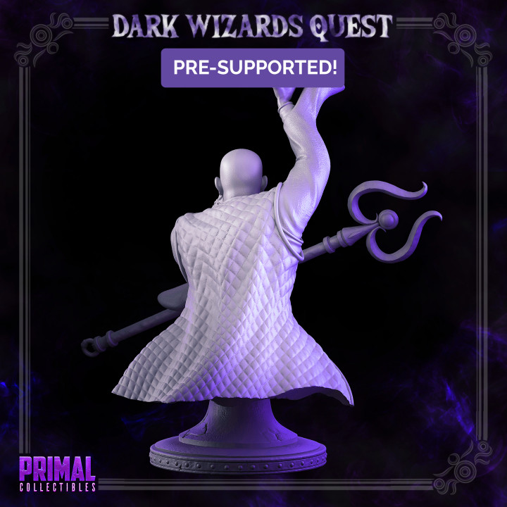 Storm Master - Rayzen Shaka - Bust - DARK WIZARDS - MASTERS OF DUNGEONS QUEST image