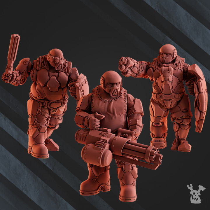 Steamguard Ogre Squad image