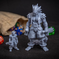Picture of print of The Mentor, Fire Quest Miniature -, Pre-Supported