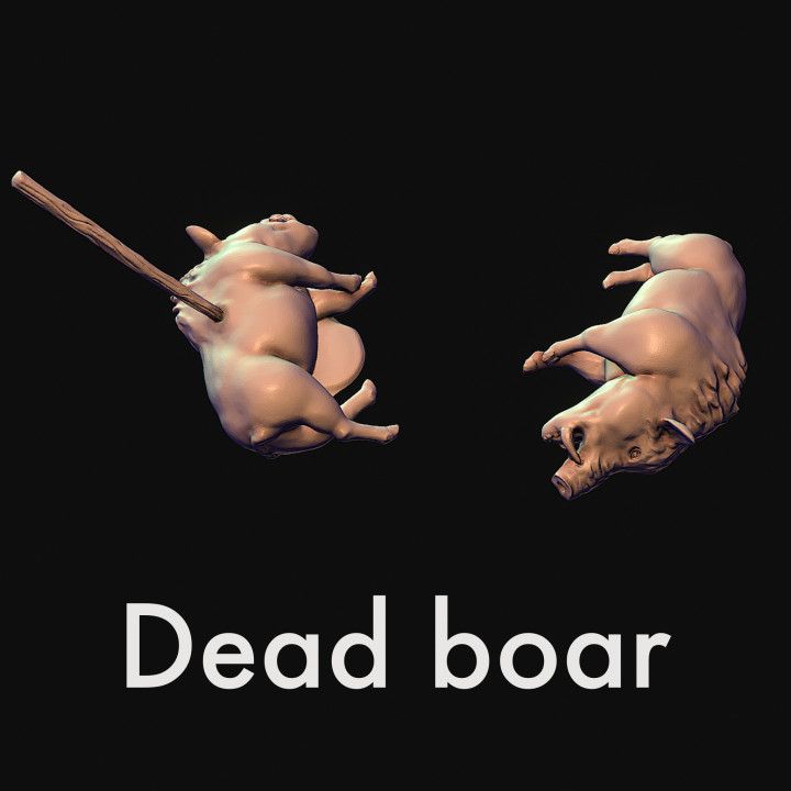 Dead boar, swine image